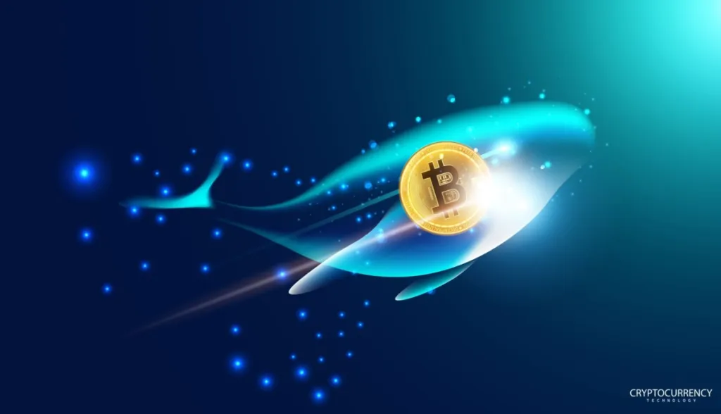 Baleias compram na queda do Bitcoin na maior acumulação em 8 meses
