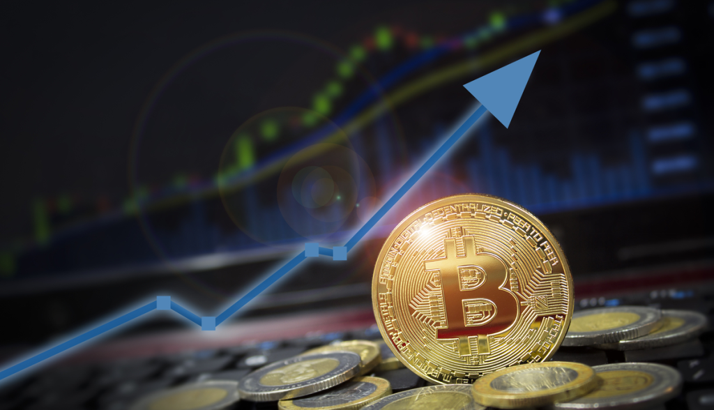 “Estamos na fase final do ciclo de alta do Bitcoin”, diz Willy Woo