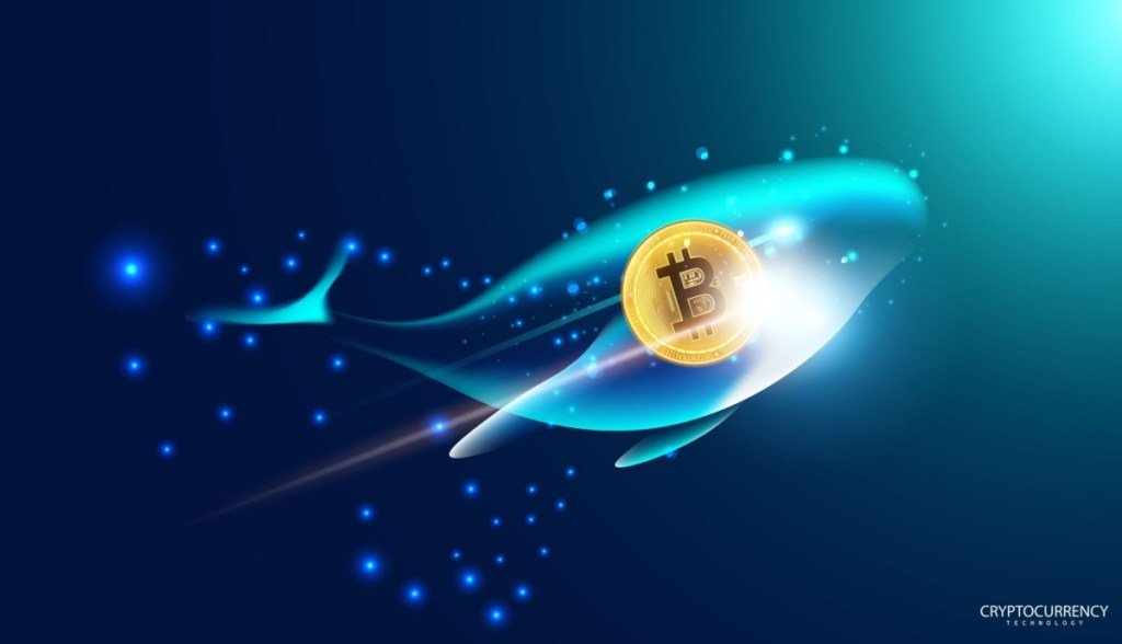 Baleia do Bitcoin movimenta R$ 280 milhões após 13 anos