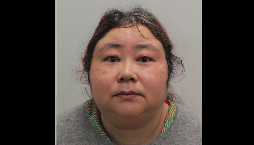 “Rainha do Bitcoin da China”: conheça a história da mulher que deu golpe de R$ 38 bilhões em milhares de investidores